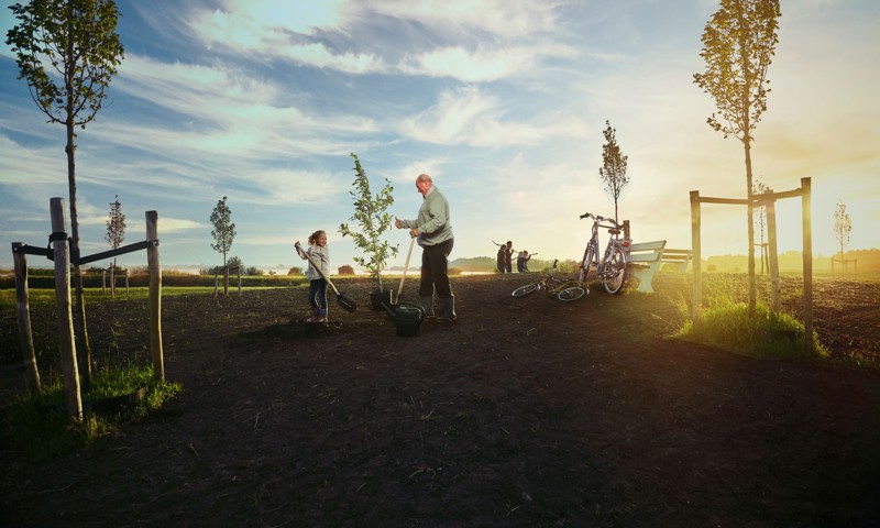 HCM Boomplanten (1)