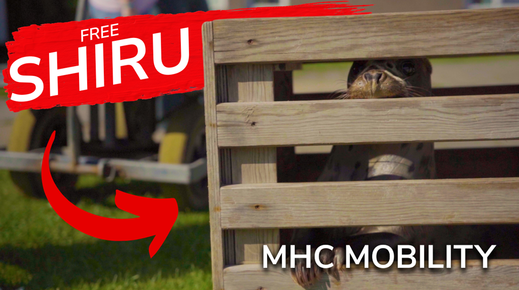 Free Shiru Thumbnail