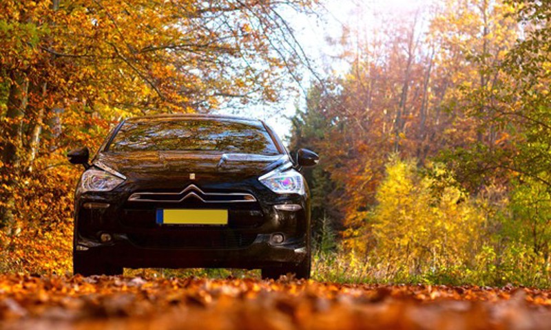 Auto Herfst